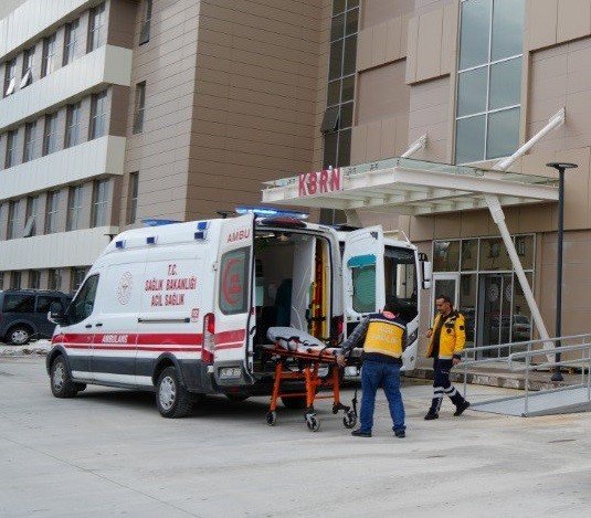 erzincanda-uzum-baginda-calisan-vatandasa-ayi-saldirdi