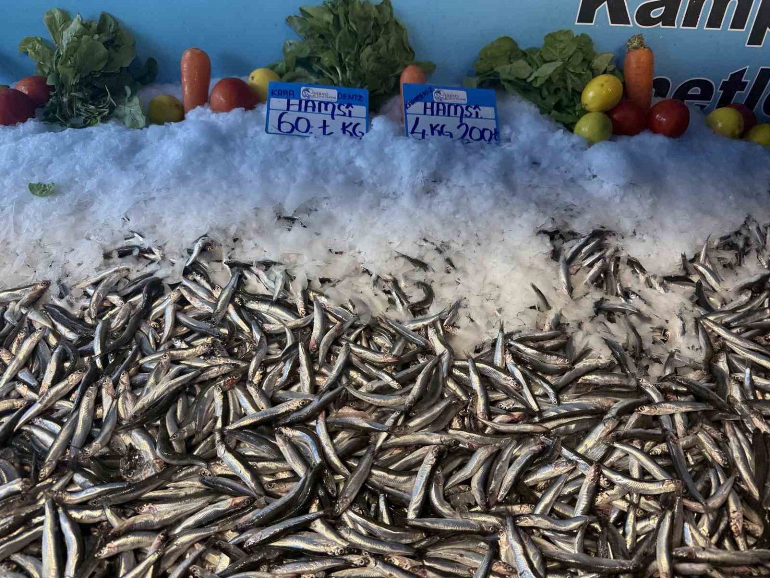 hamsi-fiyati-yuzleri-guldurdu-kilosu-60-liraya-dustu