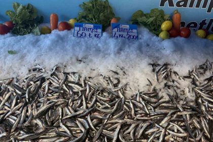 hamsi-fiyati-yuzleri-guldurdu-kilosu-60-liraya-dustu