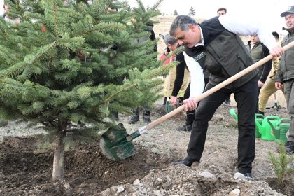 hastaya-kan-ormana-can