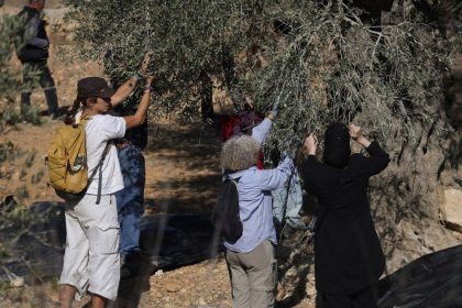 israil-gectigimiz-ay-bati-seriada-2-bin-350-saldiri-gerceklestirdi