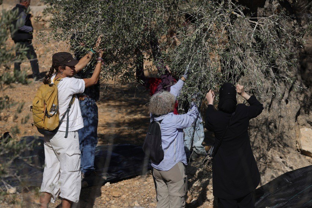 israil-gectigimiz-ay-bati-seriada-2-bin-350-saldiri-gerceklestirdi