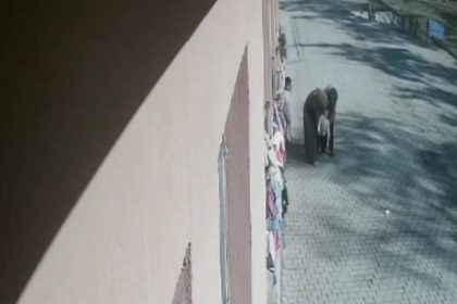 ogrencisinin-bogazina-kacan-sekeri-heimlich-manevrasiyla-cikardi