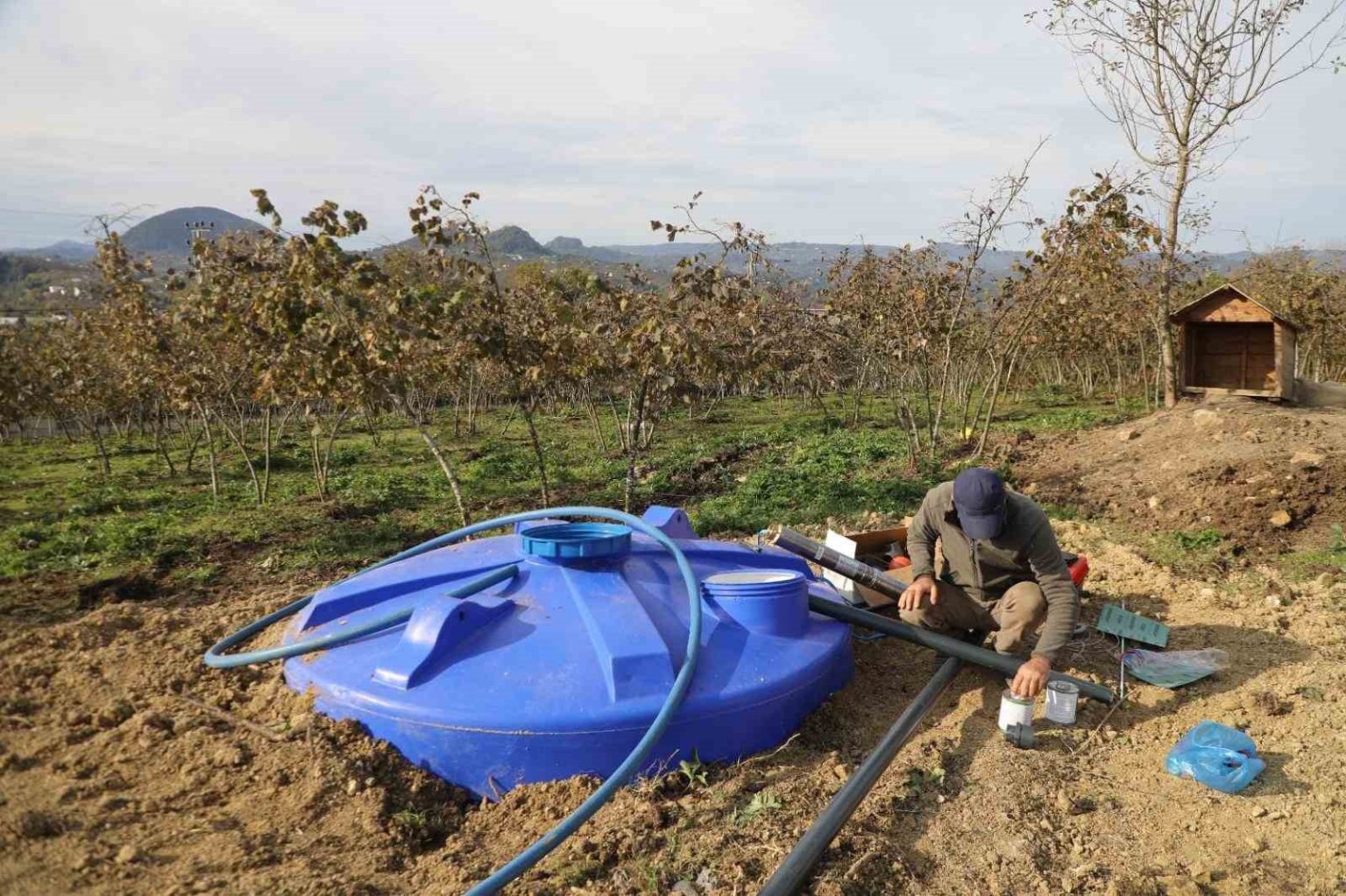 orduda-findik-bahcelerine-kuraklik-tehlikesine-karsi-damlama-sistemi