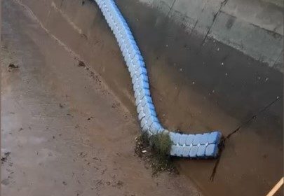 osmaniyede-baraj-kapaklari-acildi-yuzlerce-balik-telef-oldu