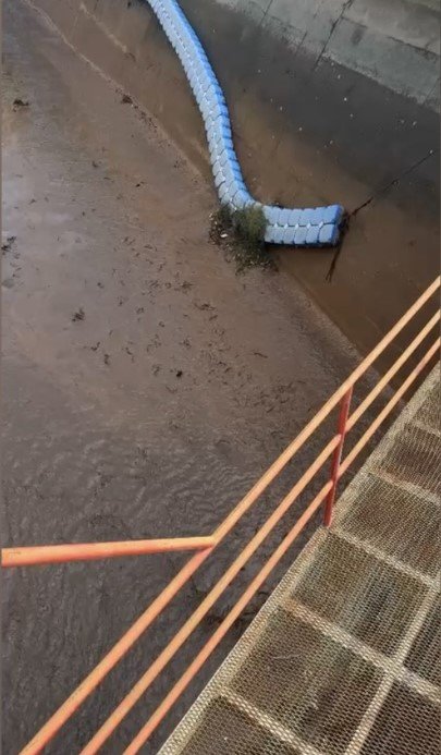 osmaniyede-baraj-kapaklari-acildi-yuzlerce-balik-telef-oldu