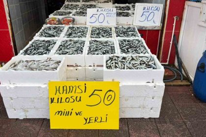 rizede-hamsinin-fiyati-sevenlerinin-yuzunu-gulduruyor