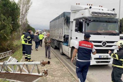 seyir-halindeki-tirin-acilan-dorsesi-ptsye-carpti