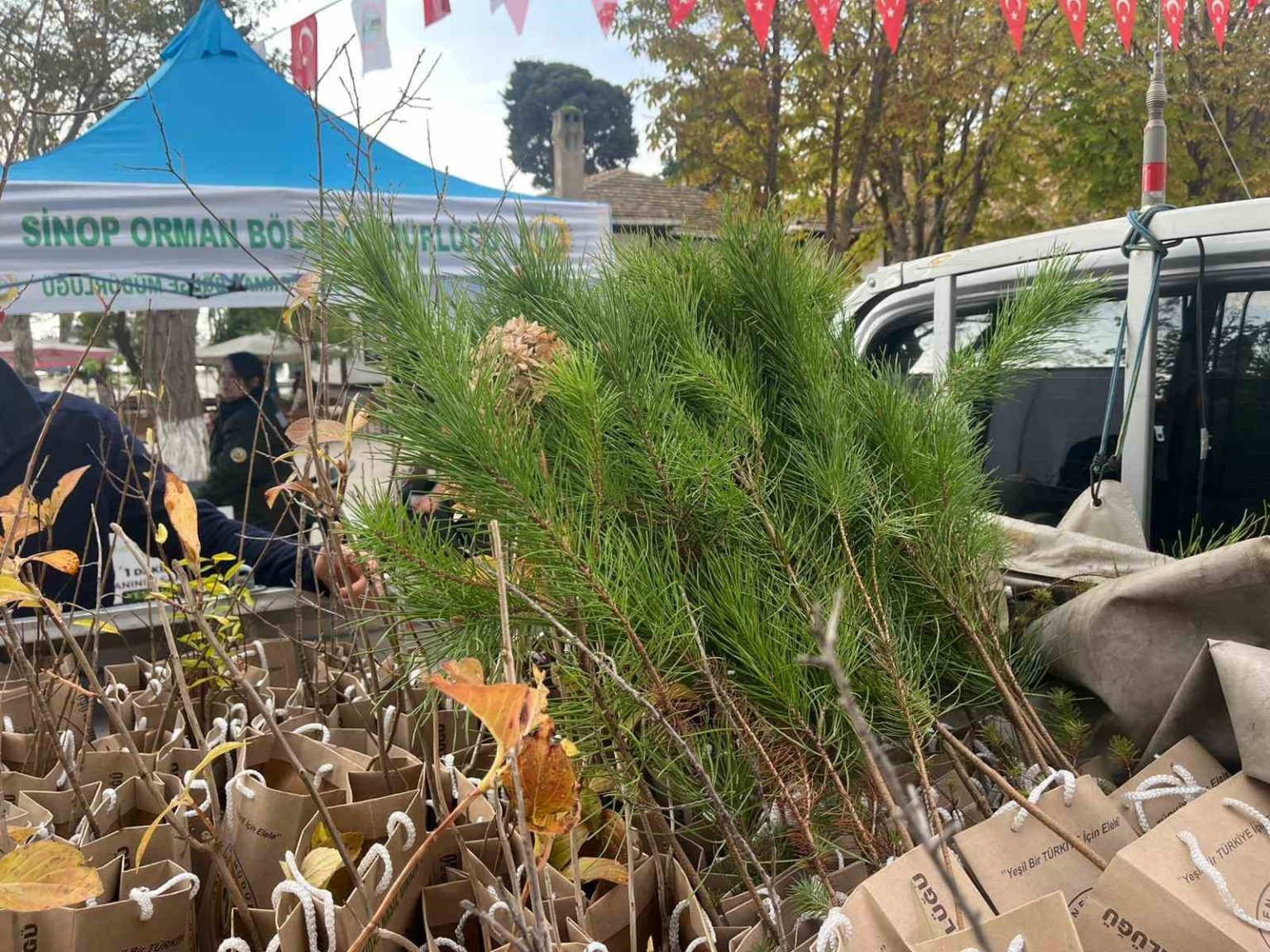 sinopta-vatandaslara-fidan-dagitildi