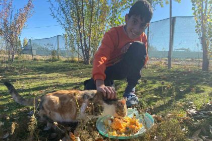 sokak-hayvanlarini-elleriyle-besliyor-onlara-yuva-oluyor