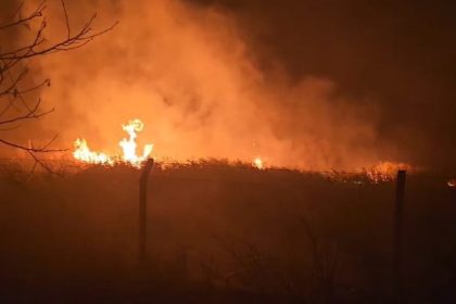 suluklu-golde-kamislar-alev-aldi