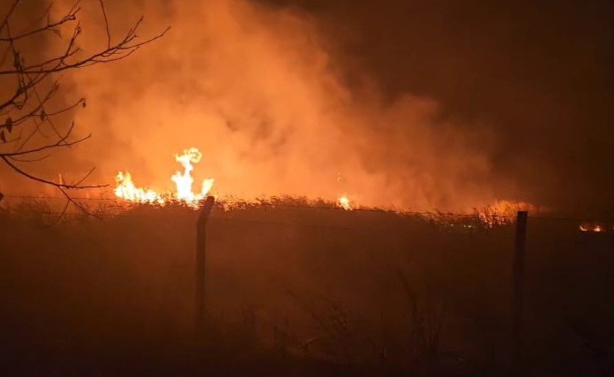 suluklu-golde-kamislar-alev-aldi