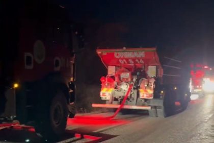 adanada-orman-yangini-buyumeden-sonduruldu