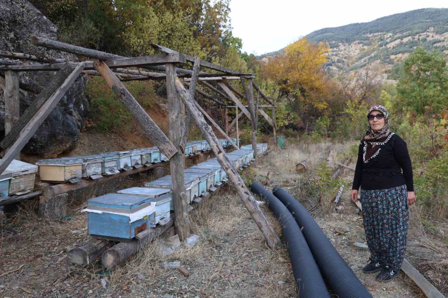 adanada-sicaklik-dusmeyince-arilar-kislama-icin-kovanlara-girmedi