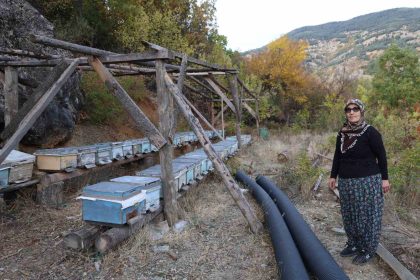 adanada-sicaklik-dusmeyince-arilar-kislama-icin-kovanlara-girmedi