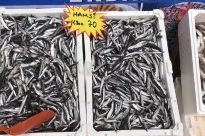 akcakocadan-balik-tuketicilerine-uyari-buzhane-baligina-dikkat