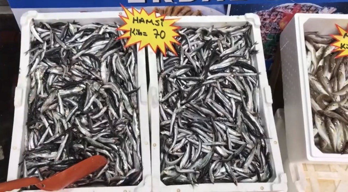 akcakocadan-balik-tuketicilerine-uyari-buzhane-baligina-dikkat