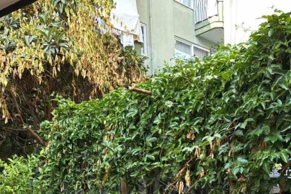 alanyada-cami-avlusundaki-bankta-bir-kisi-olu-bulundu