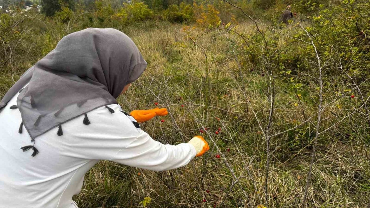 alaplida-kusburnu-hasadi-basladi