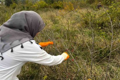 alaplida-kusburnu-hasadi-basladi