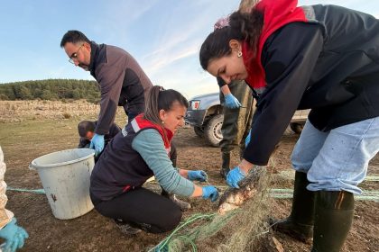 boluda-5-kilometrelik-hayalet-ag-toplandi-500-balik-canli-kurtarildi