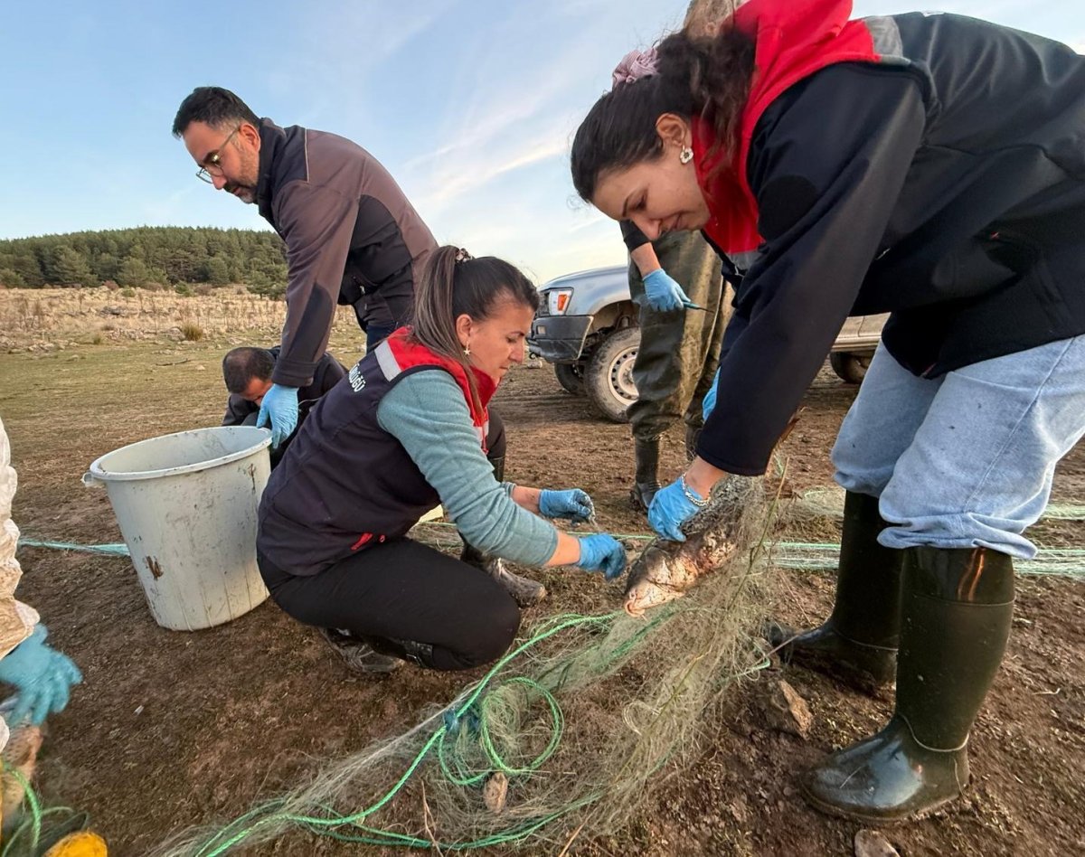 boluda-5-kilometrelik-hayalet-ag-toplandi-500-balik-canli-kurtarildi