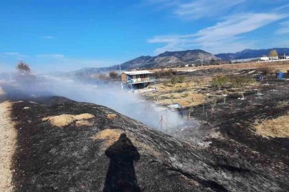 bucakta-arazi-yangini-itfaiye-ekiplerince-sonduruldu