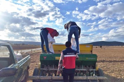 cavdarhisarda-bugday-ve-tritikale-tohumlarinin-ekimi-yapildi