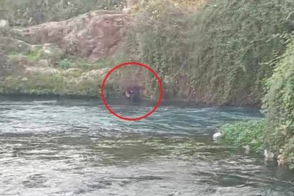 duden-cayina-dusen-sahsi-itfaiye-ekipleri-kurtardi