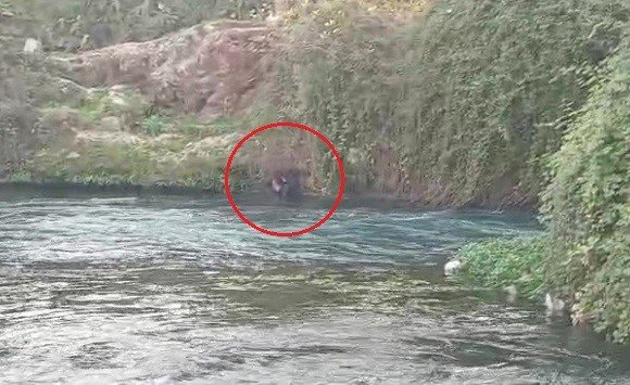 duden-cayina-dusen-sahsi-itfaiye-ekipleri-kurtardi