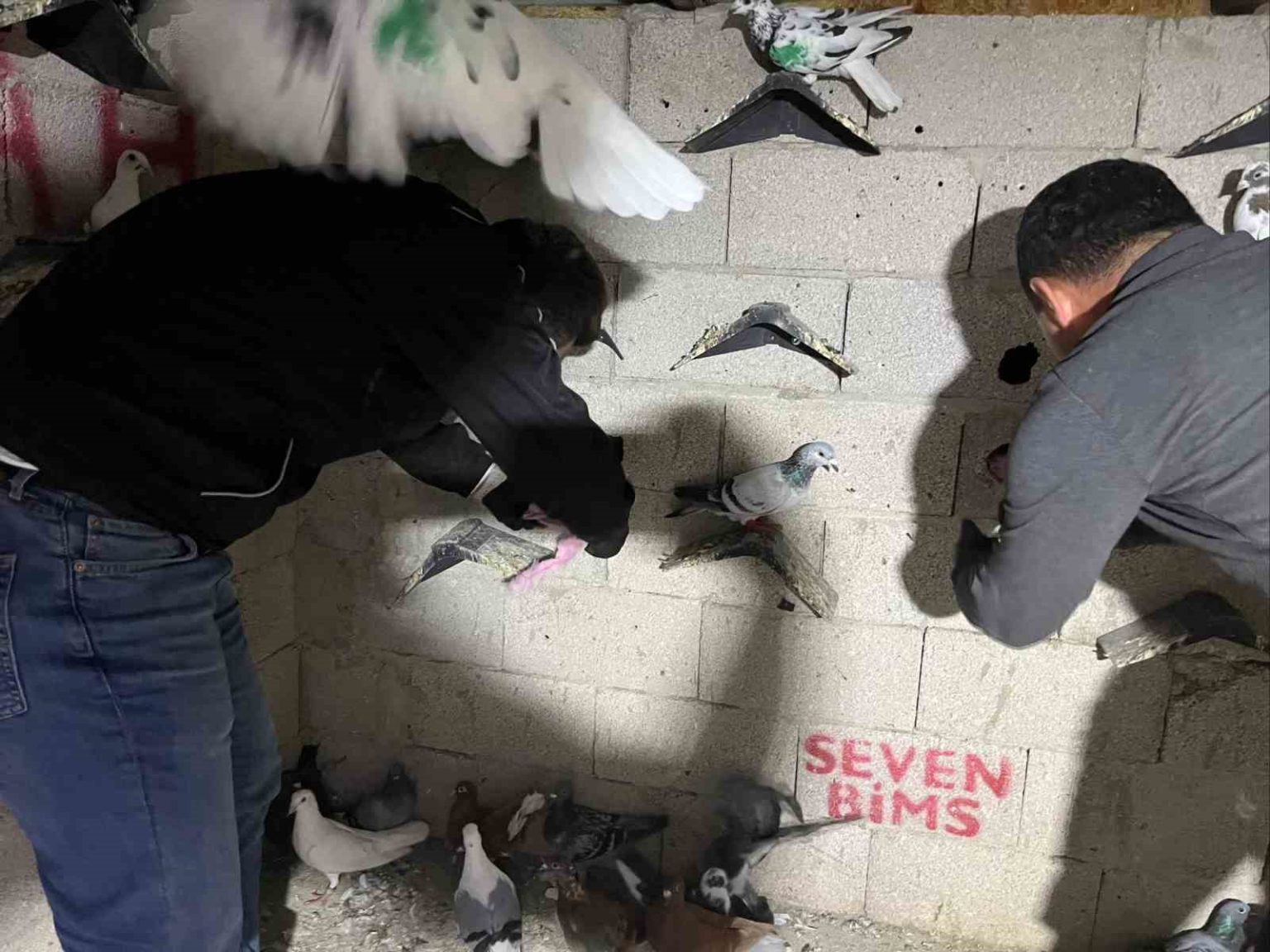 hatayda-kus-kumesinden-2-kilo-500-gram-uyusturucu-madde-ve-para-cikti