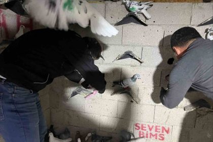 hatayda-kus-kumesinden-2-kilo-500-gram-uyusturucu-madde-ve-para-cikti