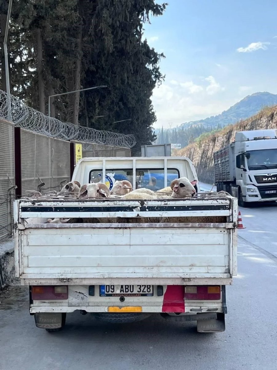 hayvan-hastaliklari-ile-mucadelede-yol-kontrolleri-devam-ediyor