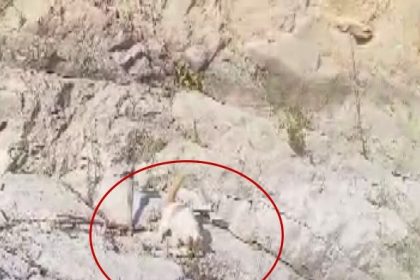 malatyada-amator-balikci-ile-kedi-arasindaki-diyalog-gulumsetti