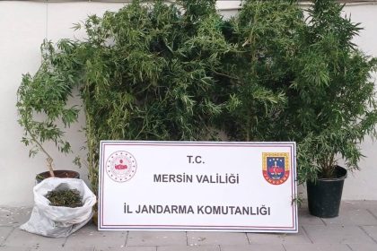 mersinde-kenevir-ekip-uyusturucu-ureten-supheli-yakalandi