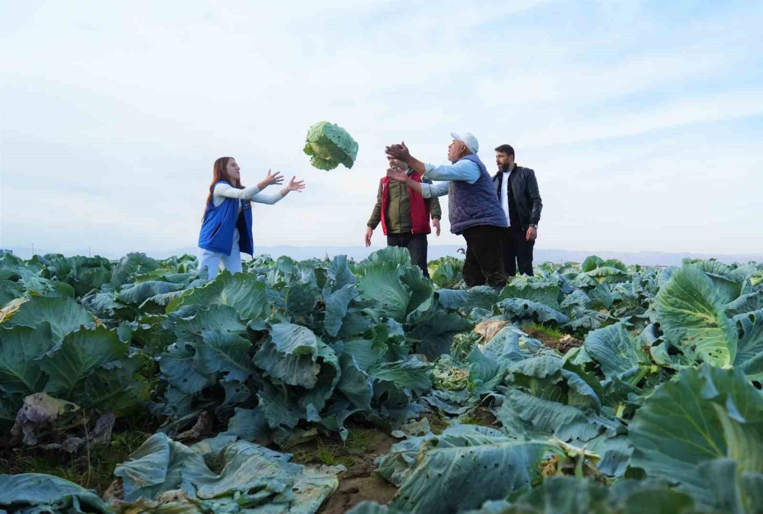 mus-ovasinda-gonullu-genclerden-ciftcilere-hasat-destegi