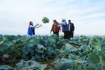 mus-ovasinda-gonullu-genclerden-ciftcilere-hasat-destegi