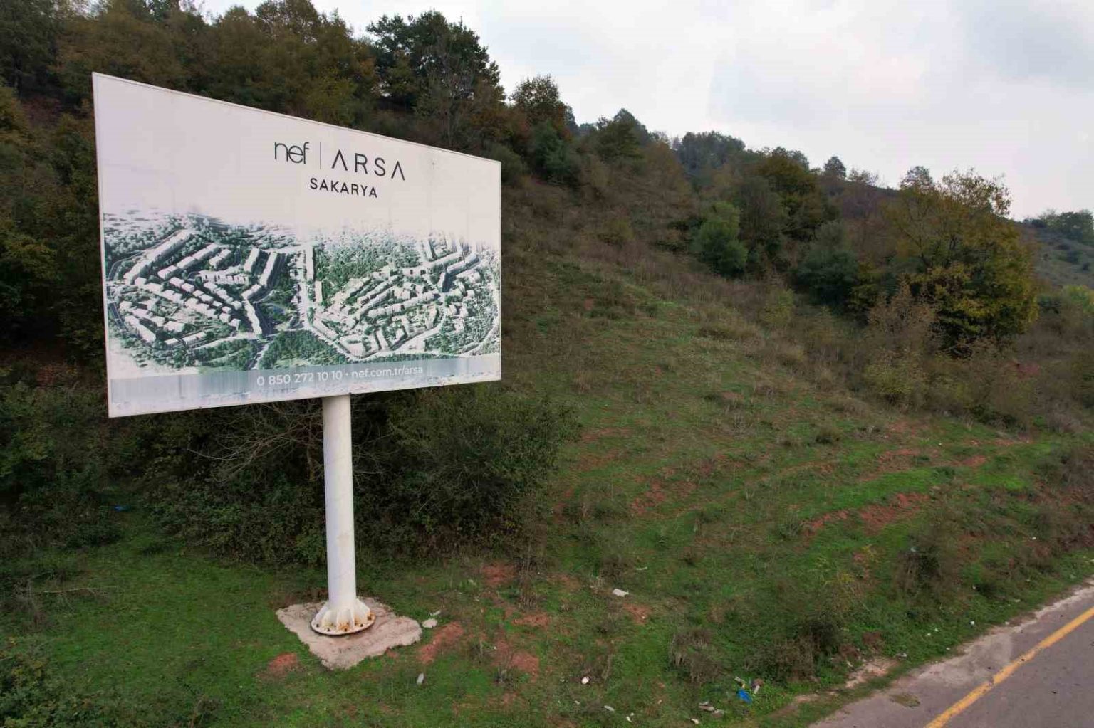 ormana-tabela-asip-milyonlar-topladilar