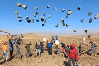 patnosta-patates-hasadi-tamamlandi-500-donum-araziden-bin-650-ton-urun-elde-edildi