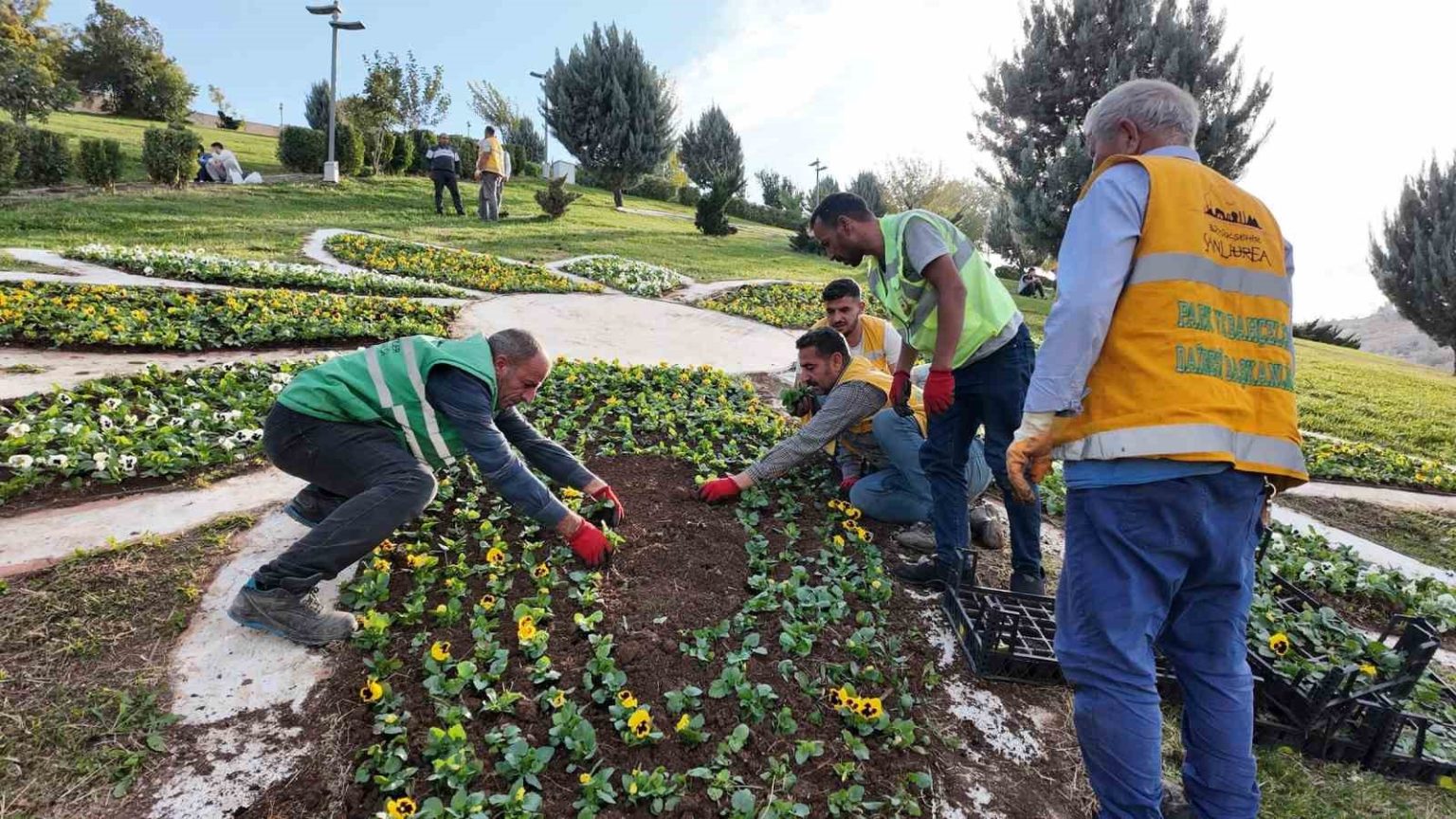 sanliurfada-400-bin-cicek-toprakla-bulusuyor
