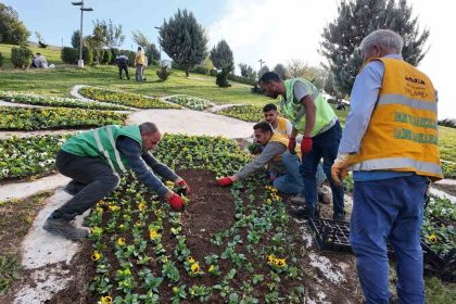 sanliurfada-400-bin-cicek-toprakla-bulusuyor