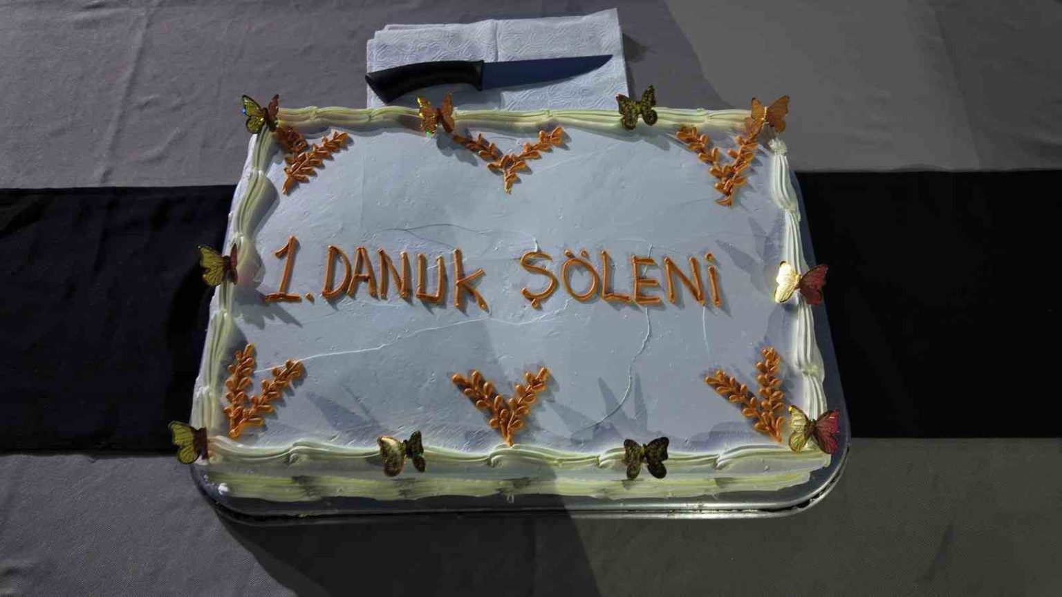 siirtte-koruma-altindaki-cocuklarla-danuk-soleni