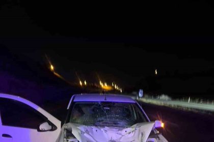 siirtte-otomobilin-carptigi-at-telef-oldu