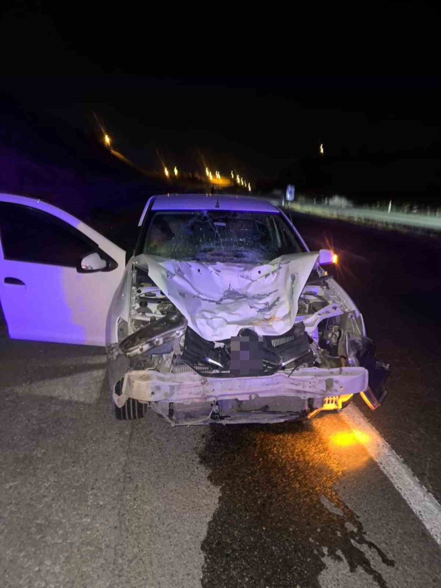 siirtte-otomobilin-carptigi-at-telef-oldu