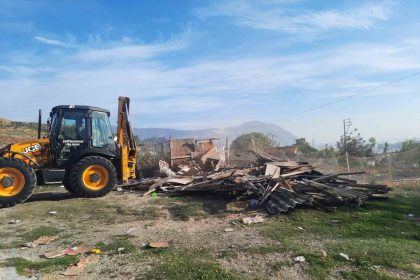 soke-belediyesinden-kacak-keci-agillarina-mudahale