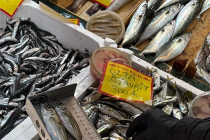 tekirdagda-balik-tezgahlarina-siki-denetim-boy-olcumleriyle-surdurulebilir-avciliga-destek