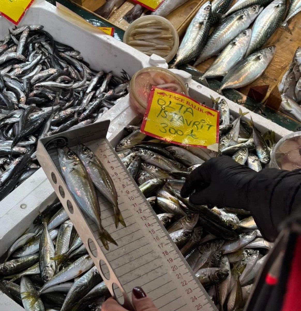 tekirdagda-balik-tezgahlarina-siki-denetim-boy-olcumleriyle-surdurulebilir-avciliga-destek