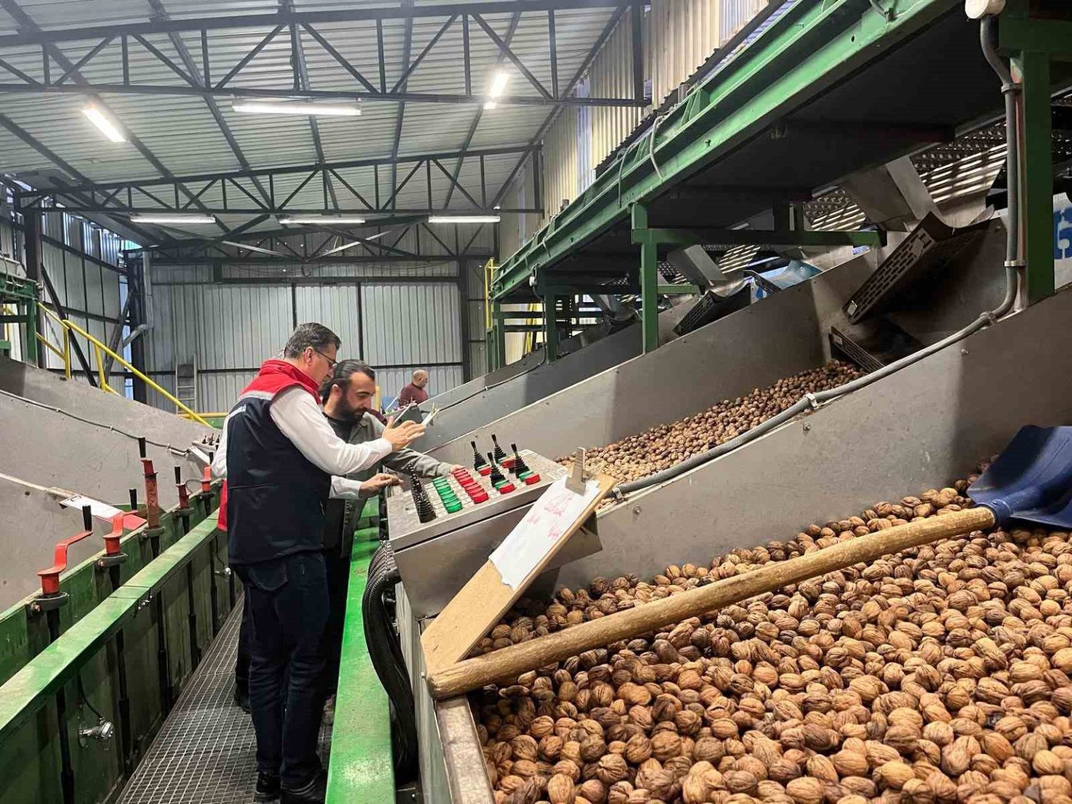 tekirdagda-ceviz-ekim-alanlari-genisliyor