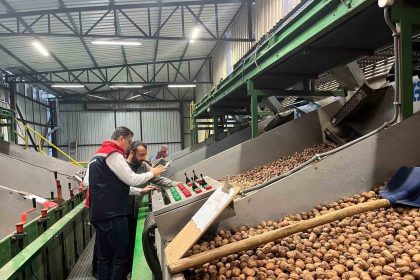 tekirdagda-ceviz-ekim-alanlari-genisliyor