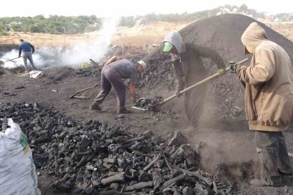 toroslarin-eteginde-zorlu-komur-mesaisi